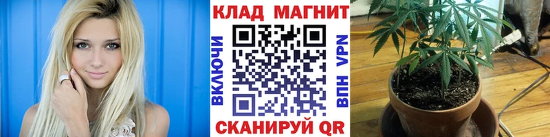 Где купить наркотики Майский Кокаин Codein mega ONION МЕФ