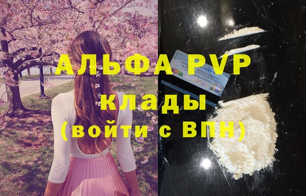 твердый Кропоткин