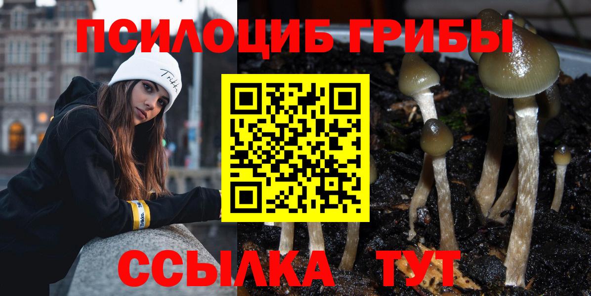 Майский  Псилоцибиновые грибы Magic Shrooms  Вход с VPN 